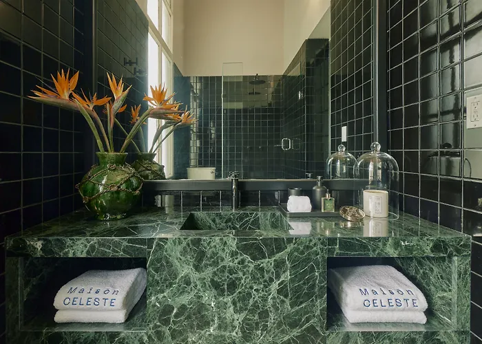 Maison Celeste Hotel Mexico City