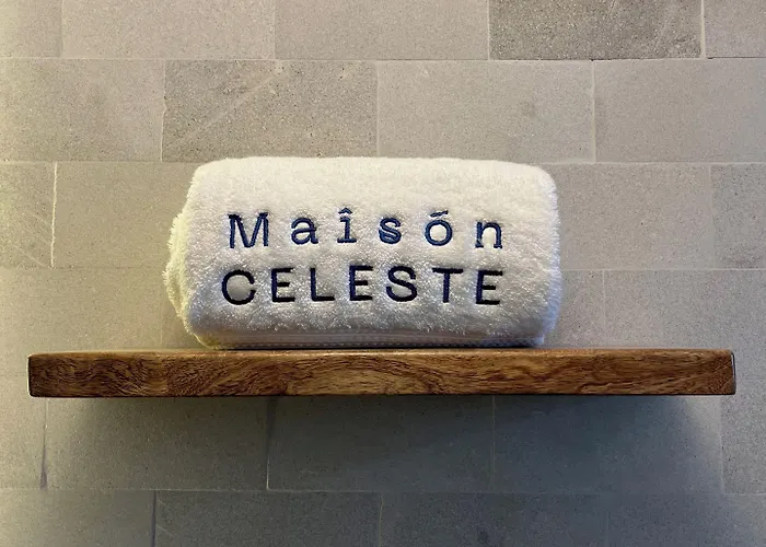 Maison Celeste Hotel Mexico City